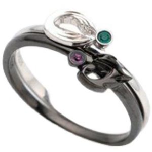Kamen Rider Double Metal Ring